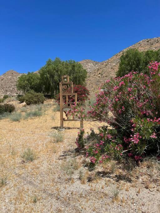 מורונגו ואלי Two Pepper Ranch - A Desert Oasis מראה חיצוני תמונה